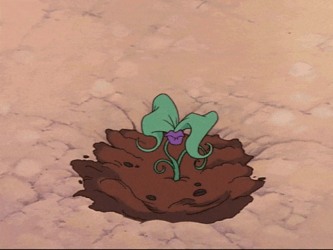 A small plant with a lips-like flower which grows quickly before one's eyes